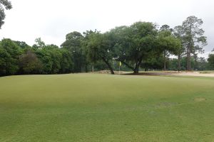 Quixote 5th Green